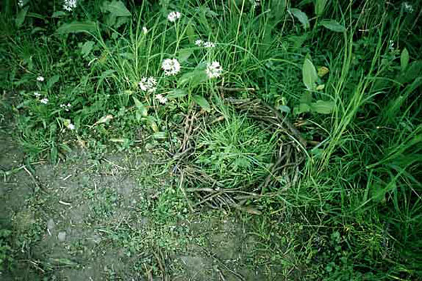 Frame the forest, Odsherred, Dinamarca, 1998. Técnica mixta