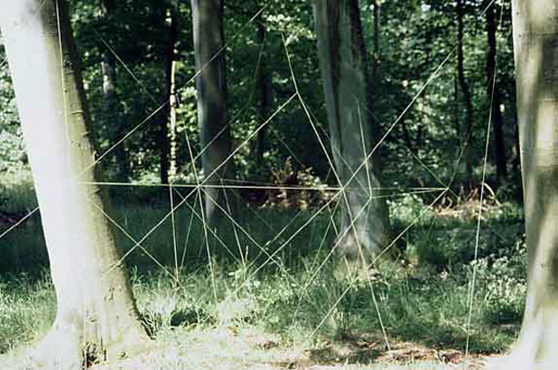 Frame the forest, Odsherred, Dinamarca, 1998. Técnica mixta
